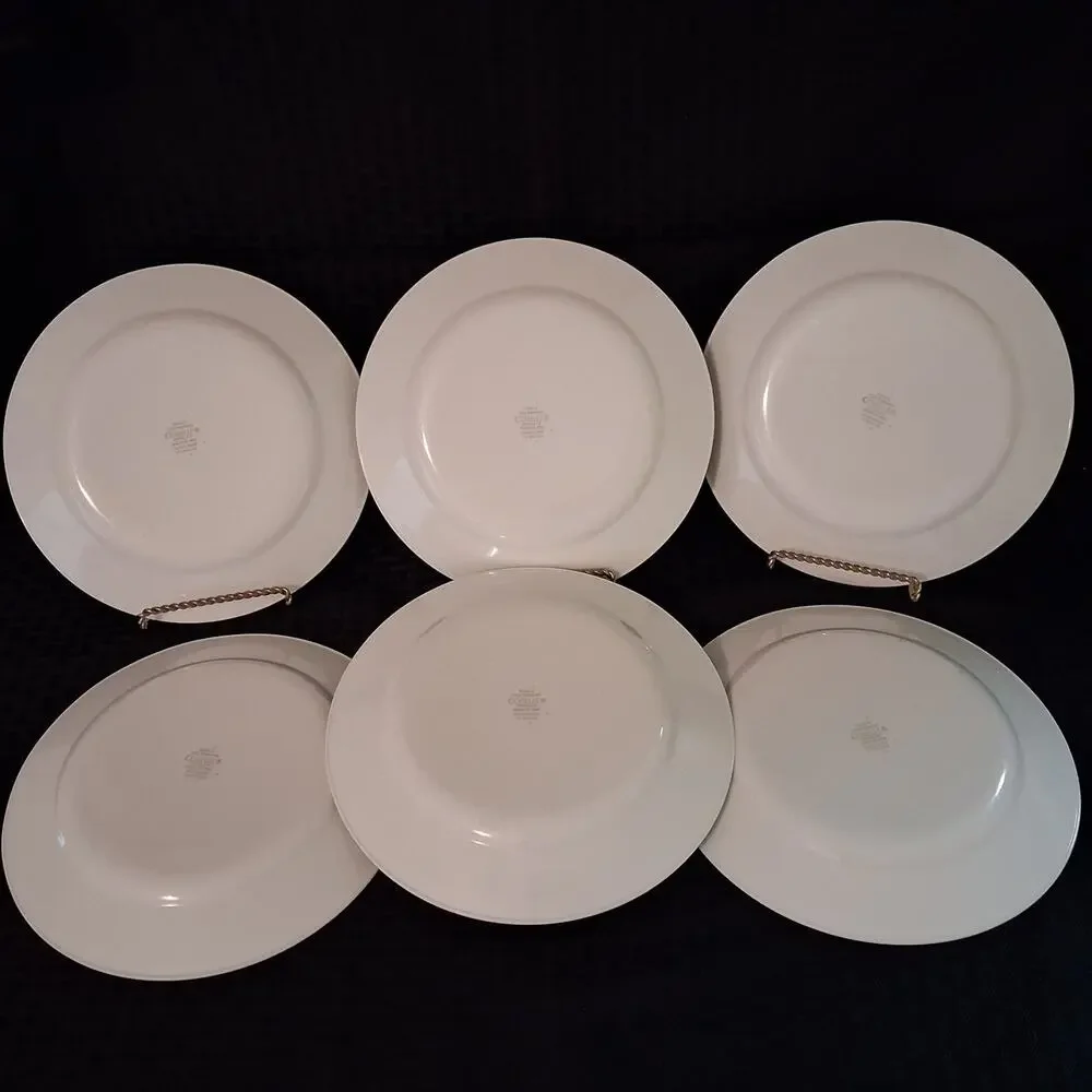 Corelle Vitrelle Watercolors 8.5